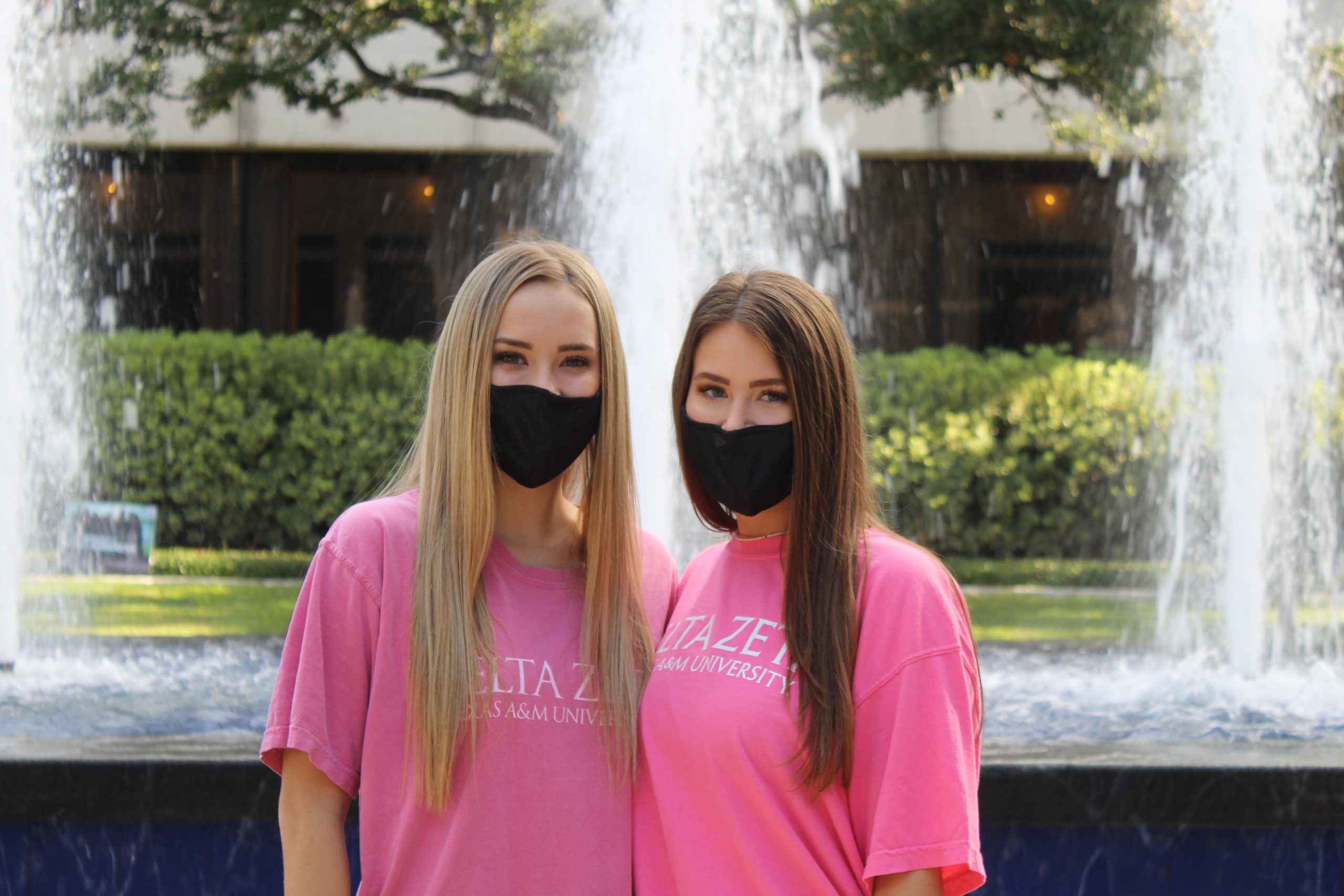 dz delegates